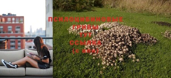 mix Вяземский