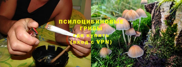 соль курить ск Вязьма