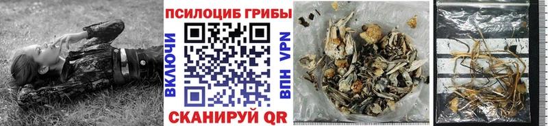 Псилоцибиновые грибы MAGIC MUSHROOMS  Купить где  Когалым 