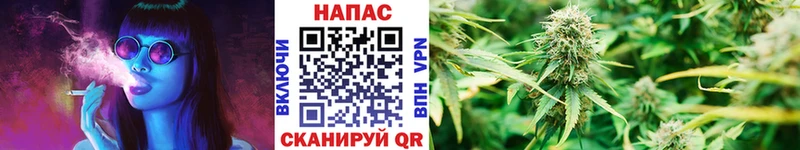 Купить где  Когалым  МАРИХУАНА сатива 